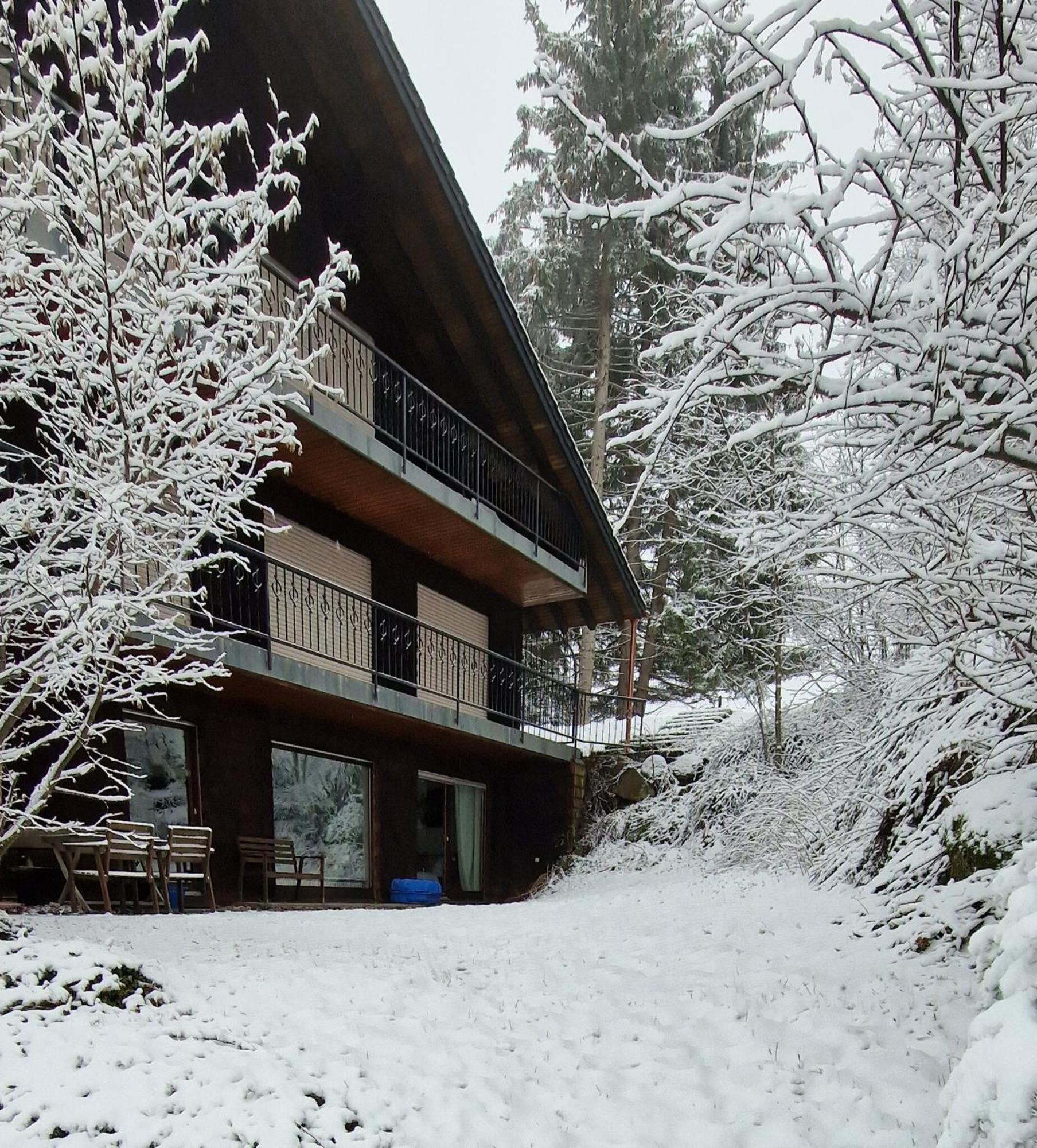 Ferienwohnung In Schoenwald Schwarzwald Bagian luar foto